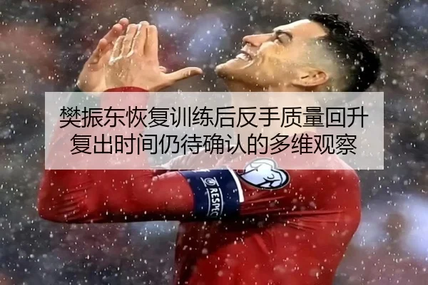 樊振东恢复训练后反手质量回升 复出时间仍待确认的多维观察